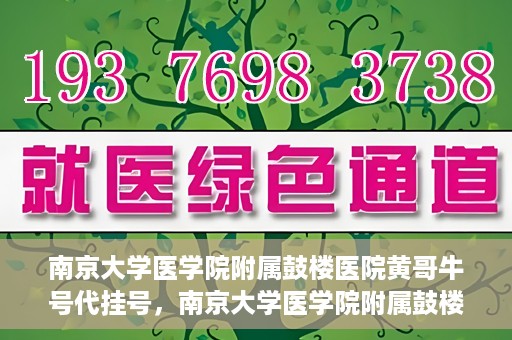 南京大学医学院附属鼓楼医院黄哥牛号代挂号，南京大学医学院附属鼓楼医院黄哥牛号代挂号解析，专业解读与预约攻略