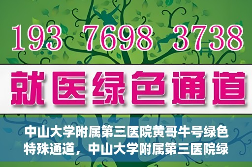 中山大学附属第三医院黄哥牛号绿色特殊通道，中山大学附属第三医院绿色特殊通道，黄哥牛号引领医疗创新之路