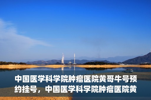 中国医学科学院肿瘤医院黄哥牛号预约挂号，中国医学科学院肿瘤医院黄哥牛号预约挂号攻略，一站式解决您的挂号难题