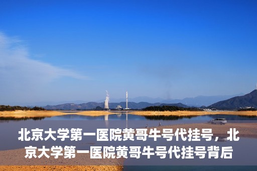 北京大学第一医院黄哥牛号代挂号，北京大学第一医院黄哥牛号代挂号背后的故事与真相探索