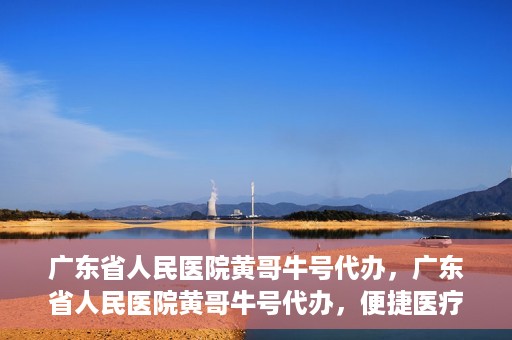 广东省人民医院黄哥牛号代办，广东省人民医院黄哥牛号代办，便捷医疗新途径