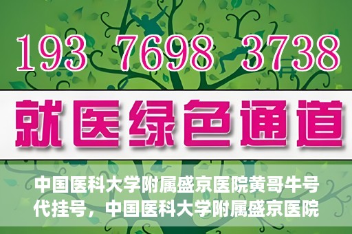 中国医科大学附属盛京医院黄哥牛号代挂号，中国医科大学附属盛京医院黄哥牛号代挂号背后的故事与真相揭秘