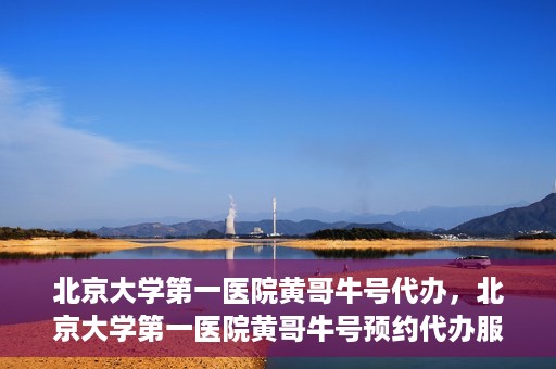 北京大学第一医院黄哥牛号代办，北京大学第一医院黄哥牛号预约代办服务攻略