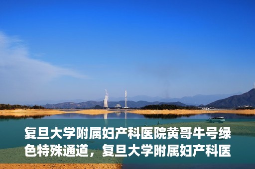 复旦大学附属妇产科医院黄哥牛号绿色特殊通道，复旦大学附属妇产科医院黄哥牛号，绿色特殊通道开启健康之门