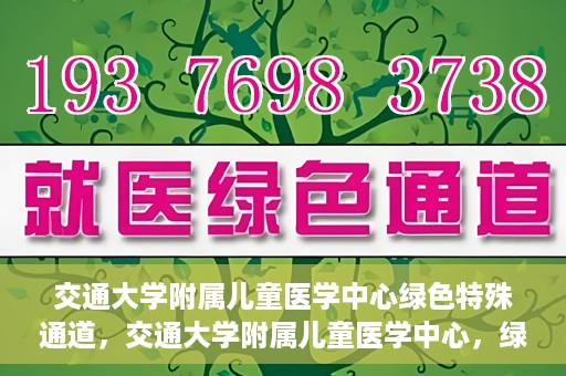 交通大学附属儿童医学中心绿色特殊通道，交通大学附属儿童医学中心，绿色特殊通道，守护儿童健康之路