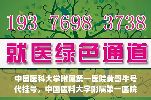 中国医科大学附属第一医院黄哥牛号代挂号，中国医科大学附属第一医院黄哥牛号代挂号服务详解