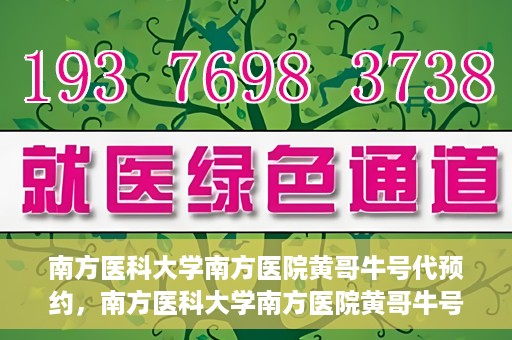 南方医科大学南方医院黄哥牛号代预约，南方医科大学南方医院黄哥牛号预约服务解析