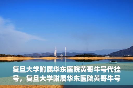 复旦大学附属华东医院黄哥牛号代挂号，复旦大学附属华东医院黄哥牛号代挂号解析与体验分享