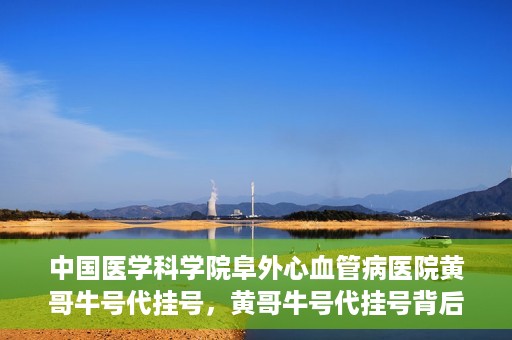 中国医学科学院阜外心血管病医院黄哥牛号代挂号，黄哥牛号代挂号背后的故事，阜外心血管病医院的探索与挑战