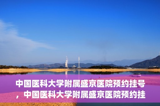 中国医科大学附属盛京医院预约挂号，中国医科大学附属盛京医院预约挂号指南，一站式解决您的挂号难题