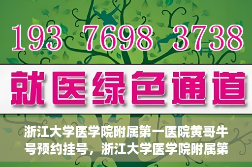 浙江大学医学院附属第一医院黄哥牛号预约挂号，浙江大学医学院附属第一医院黄哥牛号预约挂号攻略详解