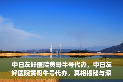 中日友好医院黄哥牛号代办，中日友好医院黄哥牛号代办，真相揭秘与深度解析