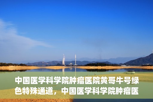 中国医学科学院肿瘤医院黄哥牛号绿色特殊通道，中国医学科学院肿瘤医院黄哥牛号，绿色特殊通道开启健康之门