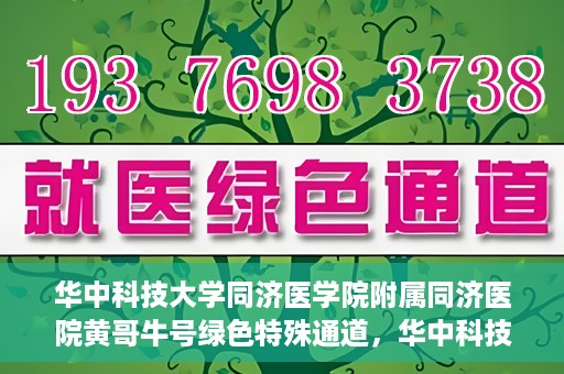 华中科技大学同济医学院附属同济医院黄哥牛号绿色特殊通道，华中科技大学同济医院黄哥牛号绿色特殊通道揭秘
