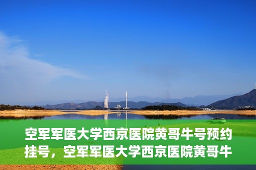 空军军医大学西京医院黄哥牛号预约挂号，空军军医大学西京医院黄哥牛医生预约挂号攻略