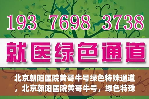 北京朝阳医院黄哥牛号绿色特殊通道，北京朝阳医院黄哥牛号，绿色特殊通道开启健康之门