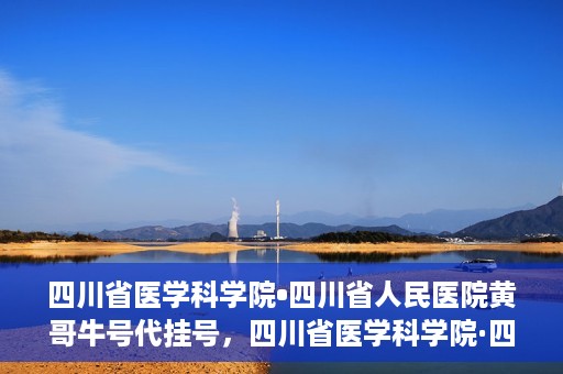 四川省医学科学院•四川省人民医院黄哥牛号代挂号，四川省医学科学院·四川省人民医院黄哥牛号——便捷挂号新体验