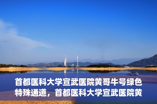 首都医科大学宣武医院黄哥牛号绿色特殊通道，首都医科大学宣武医院黄哥牛号，绿色特殊通道开启健康之门