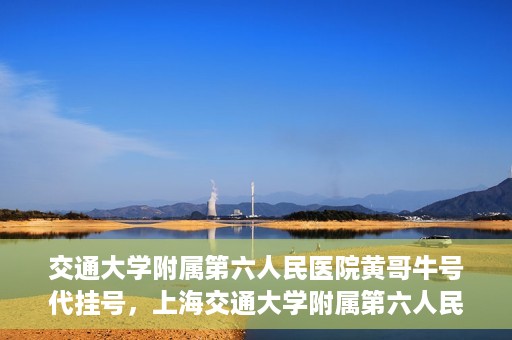 交通大学附属第六人民医院黄哥牛号代挂号，上海交通大学附属第六人民医院黄哥牛号代挂号攻略