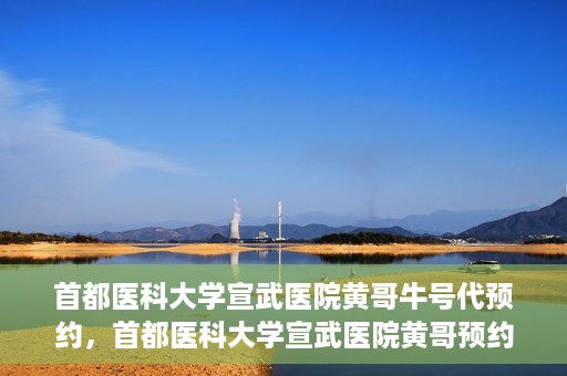 首都医科大学宣武医院黄哥牛号代预约，首都医科大学宣武医院黄哥预约代挂号服务解析