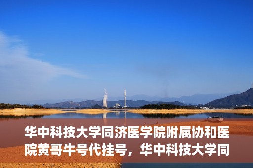 华中科技大学同济医学院附属协和医院黄哥牛号代挂号，华中科技大学同济医学院附属协和医院黄哥牛号代挂号服务详解