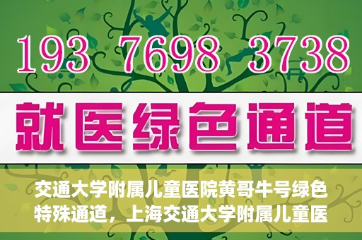 交通大学附属儿童医院黄哥牛号绿色特殊通道，上海交通大学附属儿童医院黄哥牛号绿色特殊通道揭秘