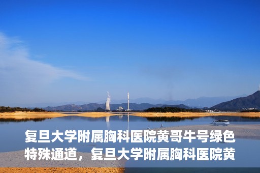复旦大学附属胸科医院黄哥牛号绿色特殊通道，复旦大学附属胸科医院黄哥牛号，绿色特殊通道开启健康之门
