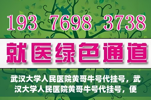 武汉大学人民医院黄哥牛号代挂号，武汉大学人民医院黄哥牛号代挂号，便捷就医背后的故事