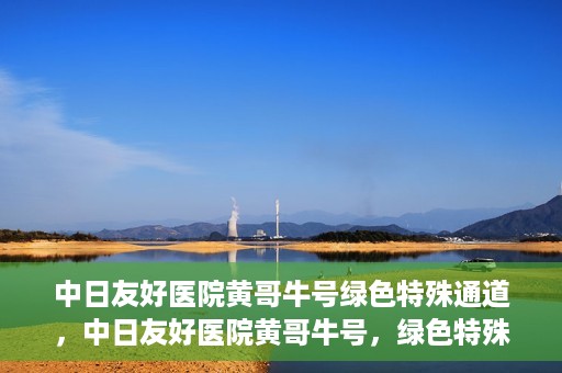 中日友好医院黄哥牛号绿色特殊通道，中日友好医院黄哥牛号，绿色特殊通道开启健康之门