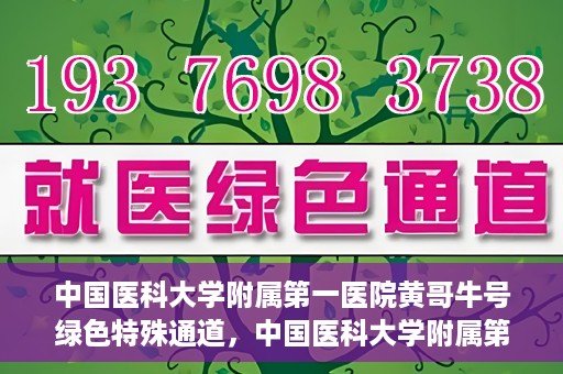 中国医科大学附属第一医院黄哥牛号绿色特殊通道，中国医科大学附属第一医院黄哥牛号，绿色特殊通道的开启与探索