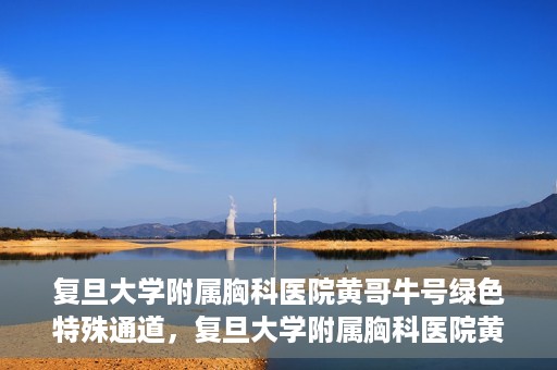 复旦大学附属胸科医院黄哥牛号绿色特殊通道，复旦大学附属胸科医院黄哥牛号，绿色特殊通道开启健康之门
