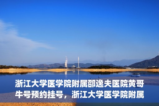 浙江大学医学院附属邵逸夫医院黄哥牛号预约挂号，浙江大学医学院附属邵逸夫医院黄哥名医号预约挂号攻略