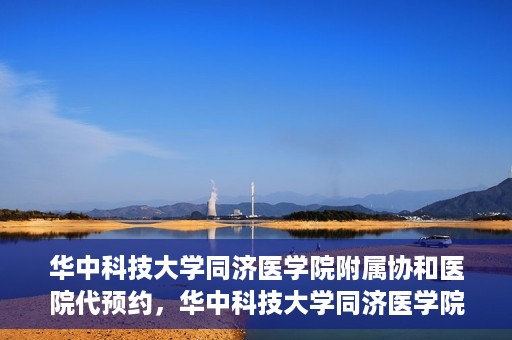 华中科技大学同济医学院附属协和医院代预约，华中科技大学同济医学院附属协和医院便捷代预约服务解析
