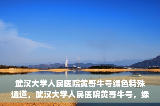 武汉大学人民医院黄哥牛号绿色特殊通道，武汉大学人民医院黄哥牛号，绿色特殊通道开启