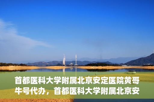 首都医科大学附属北京安定医院黄哥牛号代办，首都医科大学附属北京安定医院，黄哥牛号代办服务解析