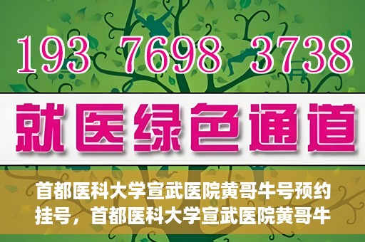 首都医科大学宣武医院黄哥牛号预约挂号，首都医科大学宣武医院黄哥牛号，预约挂号攻略