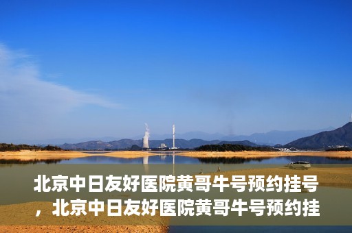 北京中日友好医院黄哥牛号预约挂号，北京中日友好医院黄哥牛号预约挂号指南