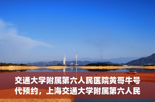 交通大学附属第六人民医院黄哥牛号代预约，上海交通大学附属第六人民医院黄哥牛号预约服务启动