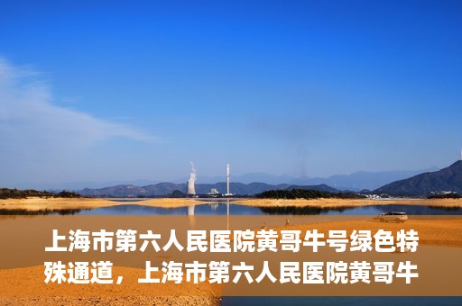 上海市第六人民医院黄哥牛号绿色特殊通道，上海市第六人民医院黄哥牛号，绿色特殊通道开启