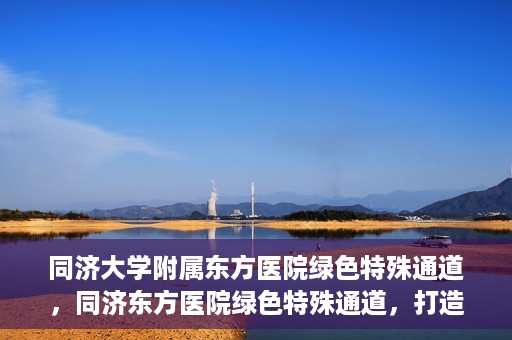 同济大学附属东方医院绿色特殊通道，同济东方医院绿色特殊通道，打造健康之路的新篇章