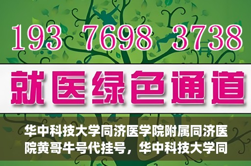 华中科技大学同济医学院附属同济医院黄哥牛号代挂号，华中科技大学同济医院黄哥牛号代挂号背后的故事