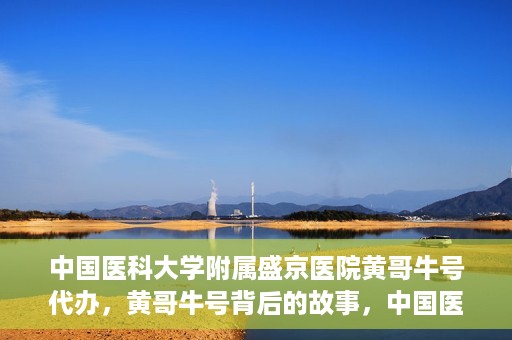 中国医科大学附属盛京医院黄哥牛号代办，黄哥牛号背后的故事，中国医科大学附属盛京医院的信赖之选