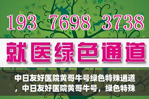 中日友好医院黄哥牛号绿色特殊通道，中日友好医院黄哥牛号，绿色特殊通道开启健康之门