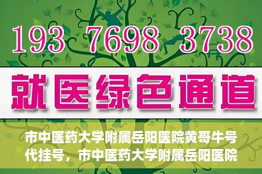 市中医药大学附属岳阳医院黄哥牛号代挂号，市中医药大学附属岳阳医院黄哥牛号代挂号服务解析