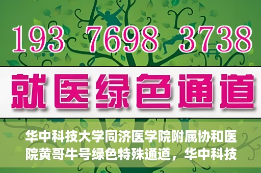 华中科技大学同济医学院附属协和医院黄哥牛号绿色特殊通道，华中科技大学同济医学院附属协和医院黄哥牛号绿色就医特殊通道揭秘