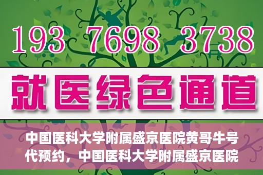 中国医科大学附属盛京医院黄哥牛号代预约，中国医科大学附属盛京医院黄哥牛号预约服务解析