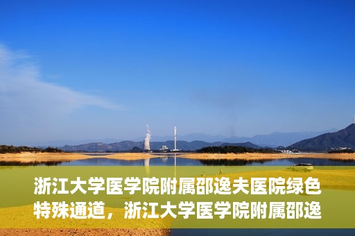 浙江大学医学院附属邵逸夫医院绿色特殊通道，浙江大学医学院附属邵逸夫医院绿色特殊通道，高效医疗服务的创新实践