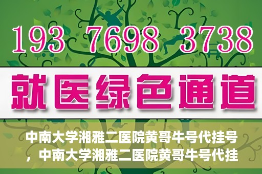中南大学湘雅二医院黄哥牛号代挂号，中南大学湘雅二医院黄哥牛号代挂号，便捷就医背后的故事