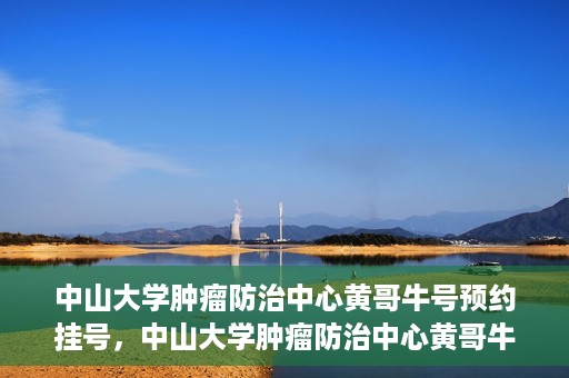 中山大学肿瘤防治中心黄哥牛号预约挂号，中山大学肿瘤防治中心黄哥牛号预约挂号攻略解析