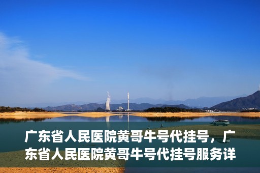 广东省人民医院黄哥牛号代挂号，广东省人民医院黄哥牛号代挂号服务详解